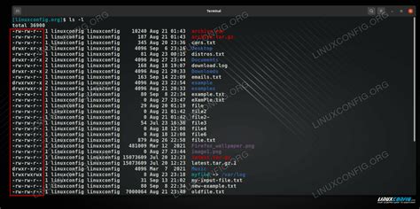 Linux chmod命令教程：如何更改文件和目录的权限（附实例详解 .